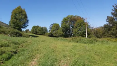 Rustic farm in Calle Onceño photo 8