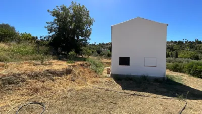 Rustic Farm in Barriada Las Flores photo 18
