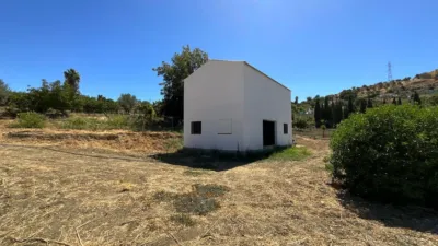 Rustic Farm in Barriada Las Flores photo 19