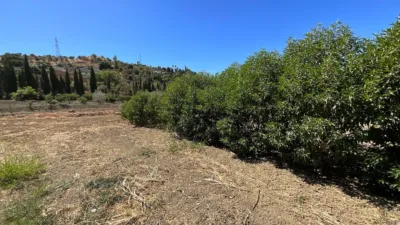 Rustic Farm in Barriada Las Flores photo 20