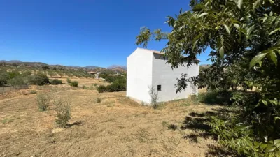 Rustic Farm in Barriada Las Flores photo 2