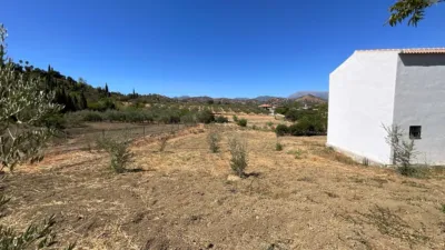 Rustic Farm in Barriada Las Flores photo 3