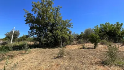 Rustic Farm in Barriada Las Flores photo 4