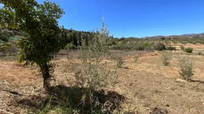 Rustic Farm in Barriada Las Flores photo 5
