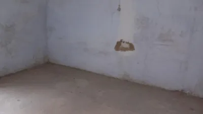House in the Centre photo 7