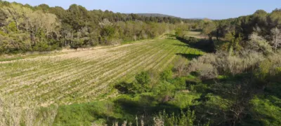 Rustic Finca in Sant Martí Sarroca photo 16