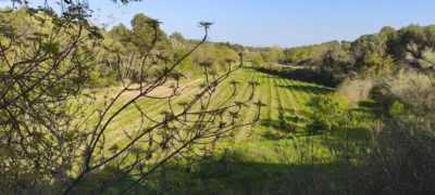 Rustic Finca in Sant Martí Sarroca photo 17