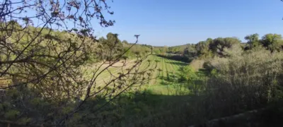 Rustic Finca in Sant Martí Sarroca photo 18