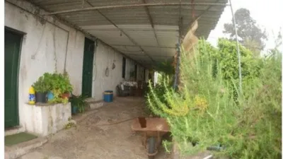 Rustic farm on Calle Cm El Sauce, No. 7 photo 4