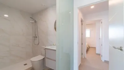 Apartment in Playa Flamenca photo 21