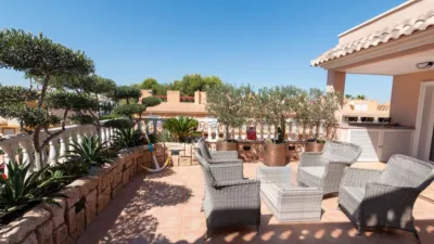 Apartment in Los Dolses photo 2
