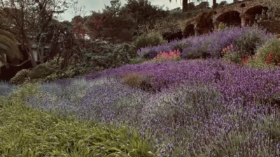 Piso en alquiler en Carrer del Comte Borrell, cerca de Carrer del Parlament - Imagen 25