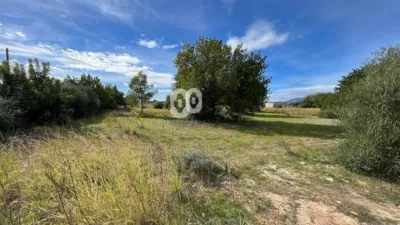 Finca rústica en venta en Camí de Binissalem, Binissalem de 450.000 €