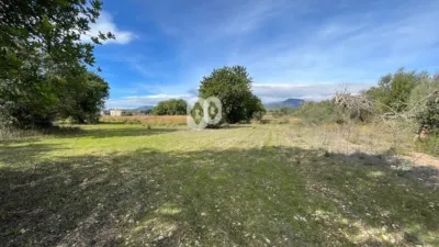 Finca rústica en venta en Camí de Binissalem, Binissalem de 450.000 €