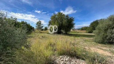 Finca rústica en venta en Camí de Binissalem, Binissalem de 450.000 €