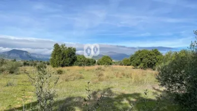 Finca rústica en venta en Camí de Binissalem, Binissalem de 450.000 €