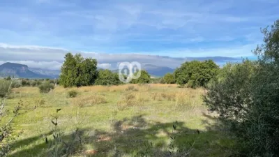 Finca rústica en venta en Camí de Binissalem, Binissalem de 450.000 €