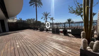 Apartment on Cl Moll Comercial Street, Pl:00 07400 Alcudia (Illes photo 6