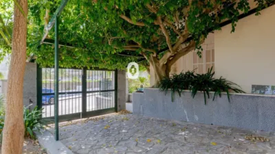 House on Avinguda Romani photo 47