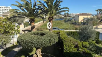 photo 47