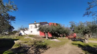 Rustic farm in Calle, Puerta photo 10