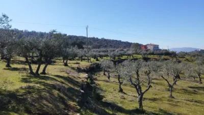 Rustic farm in Calle, Puerta photo 11