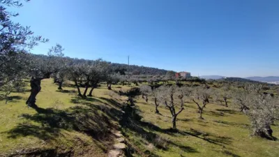 Rustic farm in Calle, Puerta photo 12