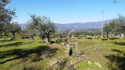 Rustic farm in Calle, Puerta photo 14
