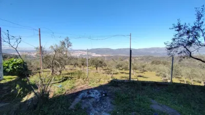 Rustic farm in Calle, Puerta photo 8