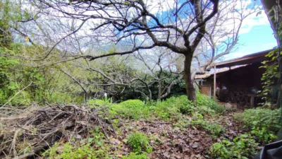 Casa en Extremadura photo 5