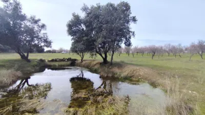 Rustic Finca on Calle de Habazas photo 17