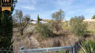 Rustic finca on Calle Av Cojos los (Co) photo 4