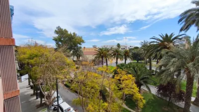 Piso – Alacant / Alicante, l'Eixample, l'Alacantí - Vista 2