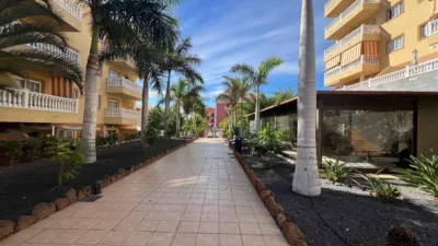 Penthouse in Palm Mar photo 15