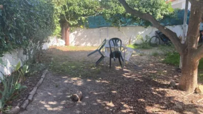 House in San Ambrosio photo 27