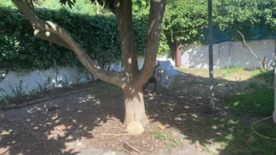 House in San Ambrosio photo 30