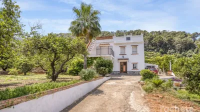 Finca rústica en venta en Calle Plaça Poligono 13, El Respirall-Santa Maria de Bonaire-El Racó (Alzira) de 520.000 €