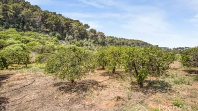 Finca rústica en venta en Calle Plaça Poligono 13, El Respirall-Santa Maria de Bonaire-El Racó (Alzira) de 520.000 €