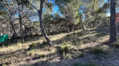 House in Comunidad Valenciana photo 27