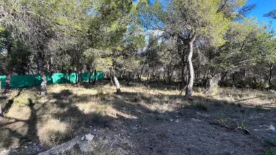 House in Comunidad Valenciana photo 28