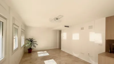 Top Floor Apartment in Carolinas Altas photo 18