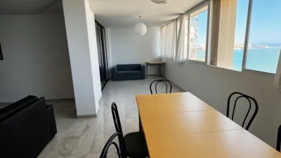 Apartment in La Albufereta photo 6