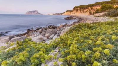 Chalet in Cala Advocat - Baladrar photo 8