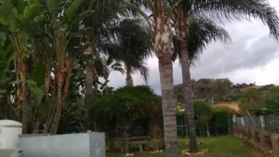 Chalet on Avenida de San Eusebio photo 3