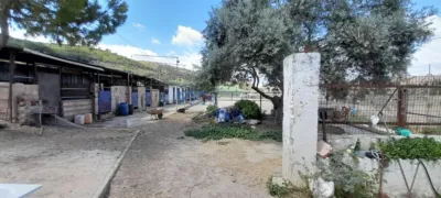 Chalet on Calle del Ejido photo 16