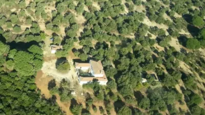 Rustic Finca on Carretera de Arcos de la Frontera photo 3
