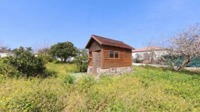 Chalet in Cañada de la Asomada photo 4