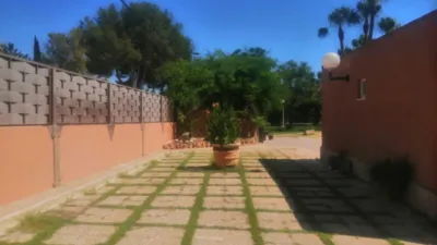 Casa – Elche, Algoda - Més