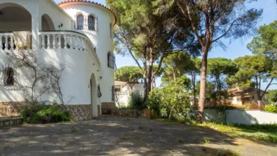 House on Carrer del Perdiguer photo 40