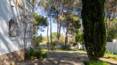 House on Carrer del Perdiguer photo 43